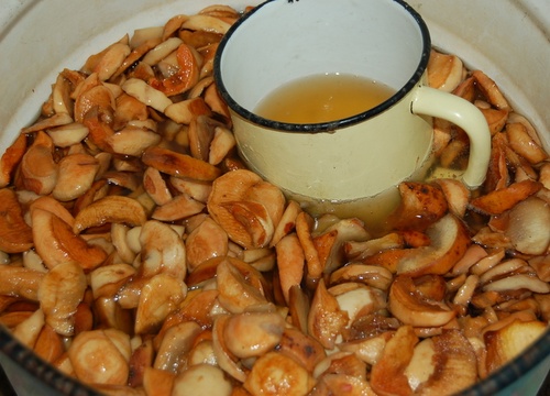 Rețete delicioase și simple de quass pe mesteacăn Rețete delicioase și simple de quass pe mesteacăn