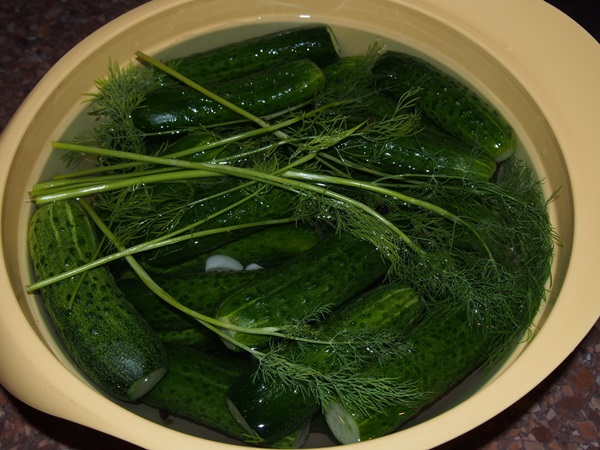 Castraveti slabi slabi in o cratita