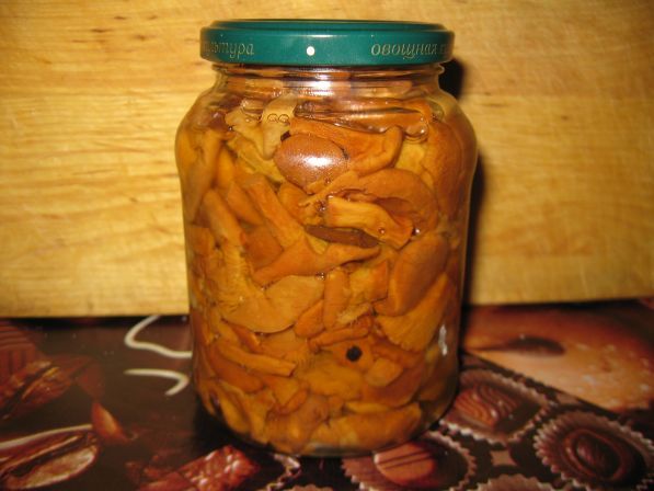 Chanterelle ciocolată