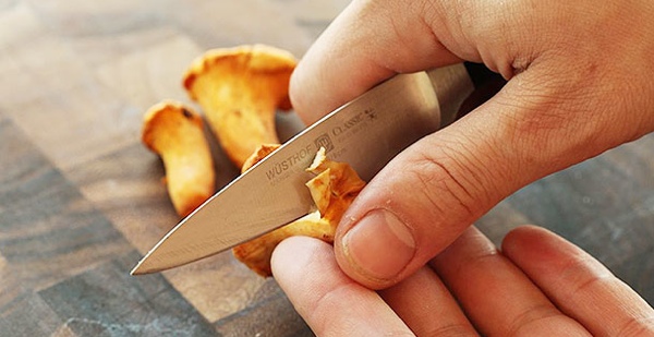 Chanterelle ciocolată