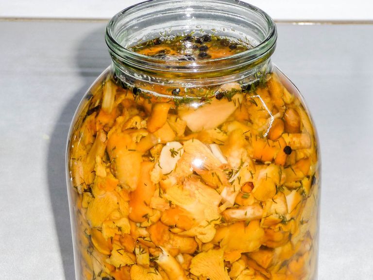 Chanterelle ciocolată