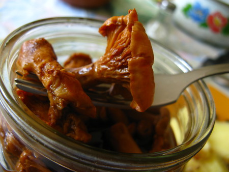 Chanterelle ciocolată