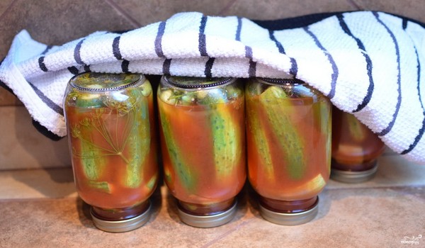 Castraveți cu ketchup pentru iarnă - fără sterilizare, în cutii. Recoltare pentru castravete ascuțite și crocante de iarnă cu chili de ketchup