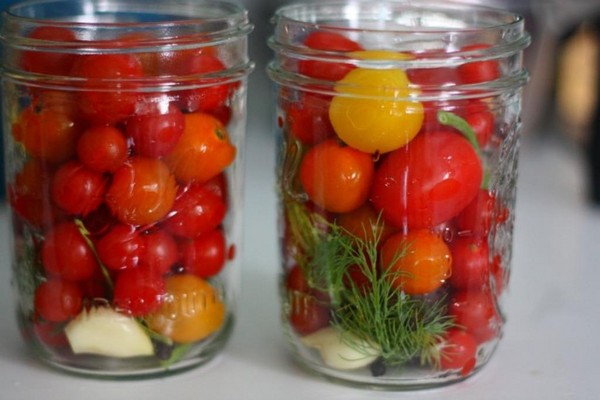 Tomate în gelatină pentru iarnă - rețete cu ceapă, fără sterilizare. Roșii decolorate în gelatină pentru iarnă Tomate în gelatină pentru iarnă - rețete cu ceapă, fără sterilizare. Roșii decolorate în gelatină pentru iarnă