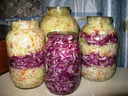 Salata de varza rosie pentru iarna