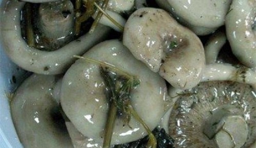 Stafide pentru iarnă: rețete delicioase și simple de gătit