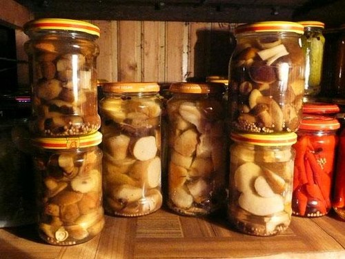 Rye: rețete simple și delicioase de gătit