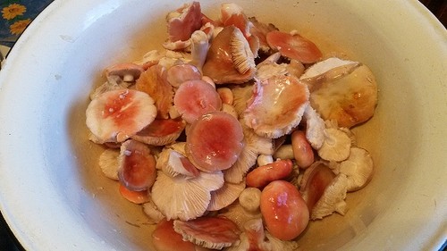 Rye: rețete simple și delicioase de gătit