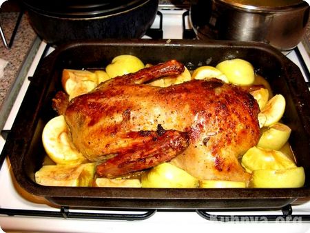Duck în cuptor: cât de gustos să gătesc?