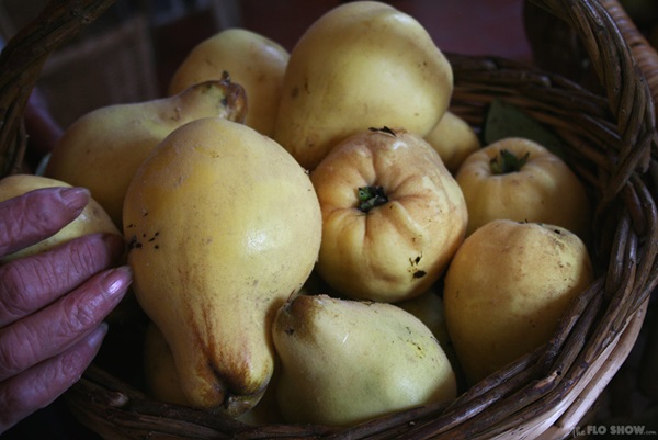 Jam din gutui: cele mai delicioase retete cu fotografii