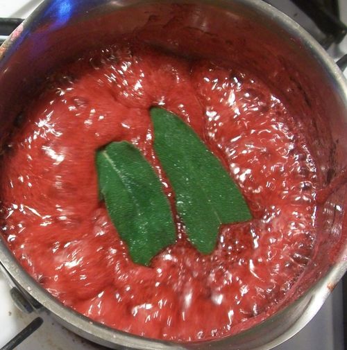 Jelly de la coacăzul roșu