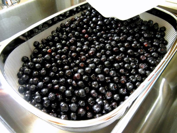 Jam din negru chokeberry