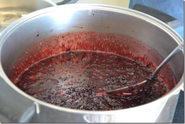 Jam din negru chokeberry