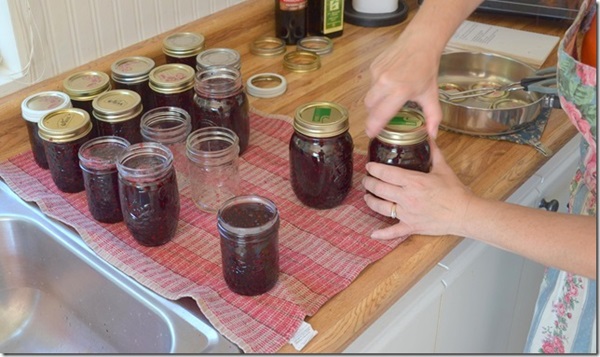 Jam din negru chokeberry