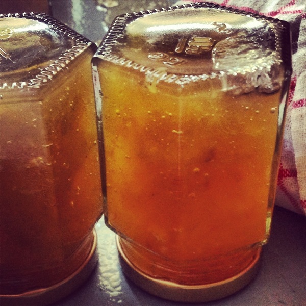 Jam din pepene galben și pepene galben pe iarbă - rețete simple