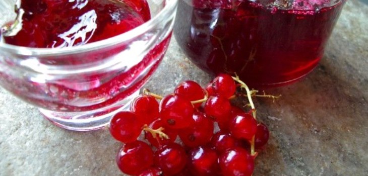 fructe de padure rosii