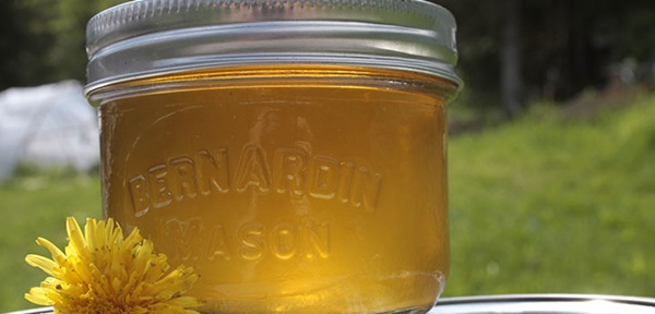 Jam și miere de păpădie cu acid citric și fără acid