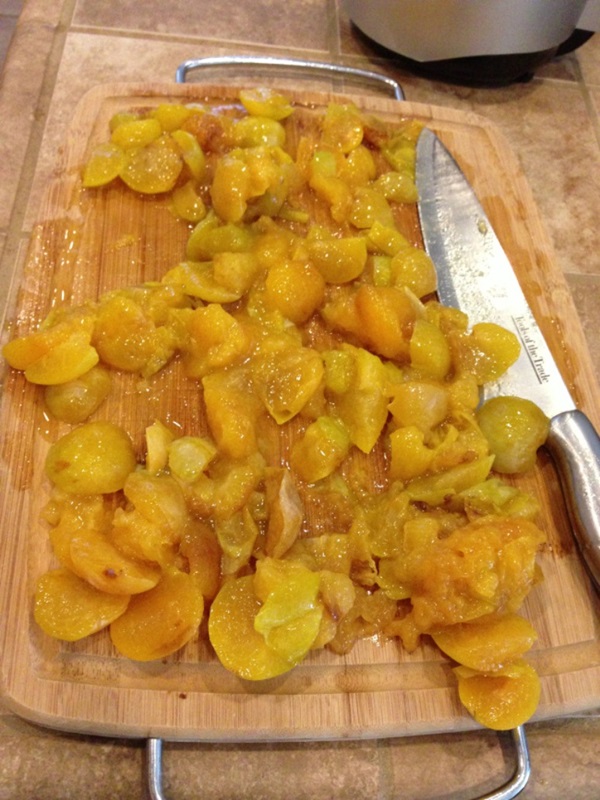 Cum să preparați gemul dintr-o prună cu o piatră și rețete simple