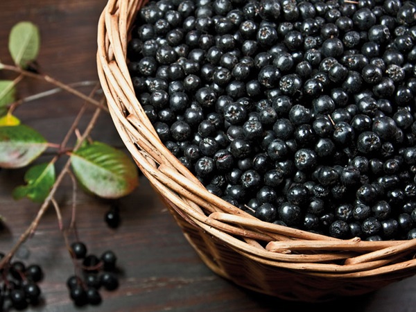 Vin de casa din chokeberry