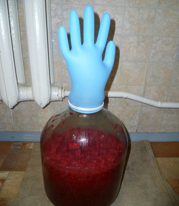Vin din zmeura acasa - retete simple