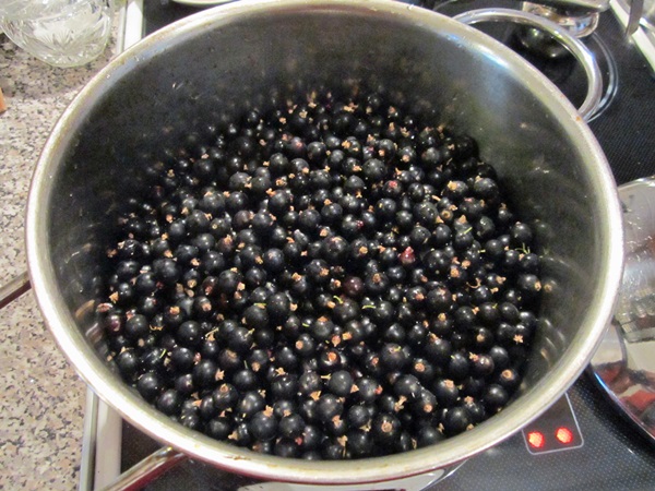 Delicioase jeleuri din coacăze negre - rețete