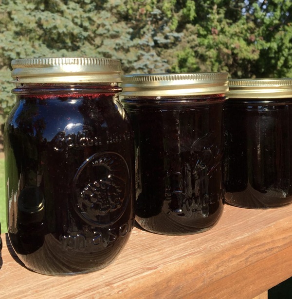 Delicioase jeleuri din coacăze negre - rețete