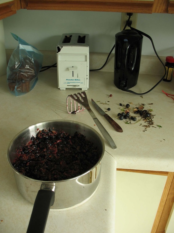 Delicioase jeleuri din coacăze negre - rețete