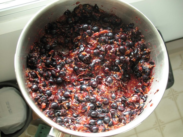 Delicioase jeleuri din coacăze negre - rețete