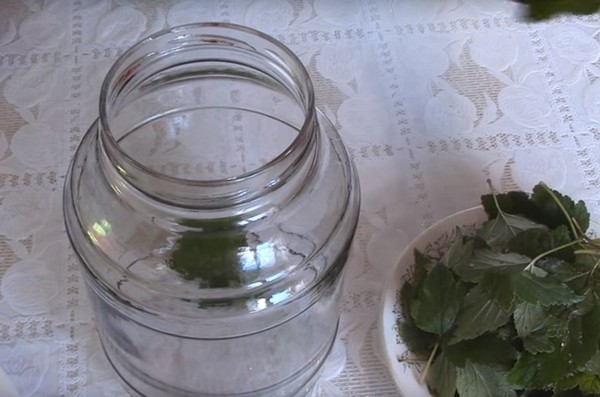 Mere pentru iarnă în bănci - preambalate și rețete - înmuiate și pene, compot, dulceț, ciorbă de piele. Cum să păstreze merele în timpul iernii la domiciliu