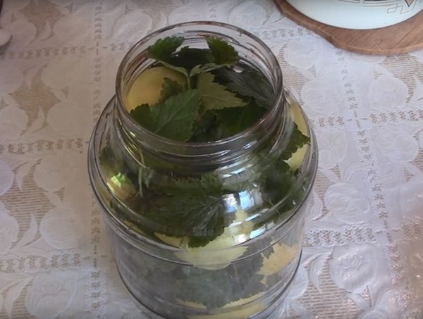 Mere pentru iarnă în bănci - preambalate și rețete - înmuiate și pene, compot, dulceț, ciorbă de piele. Cum să păstreze merele în timpul iernii la domiciliu