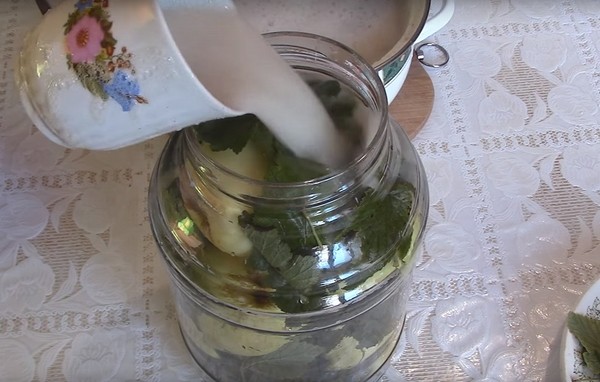 Mere pentru iarnă în bănci - preambalate și rețete - înmuiate și pene, compot, dulceț, ciorbă de piele. Cum să păstreze merele în timpul iernii la domiciliu