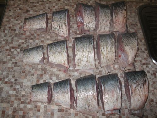 Acasă conserve de pește