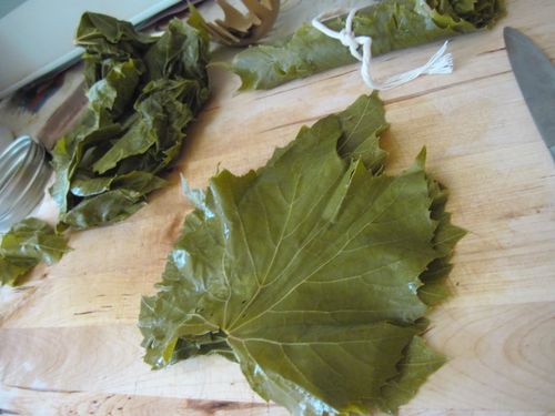 Cum sa murat frunzele de viță de vie pentru dolma