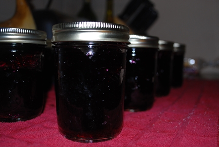 Jelly de afine pentru iarnă - rețetă foto pentru gătit
