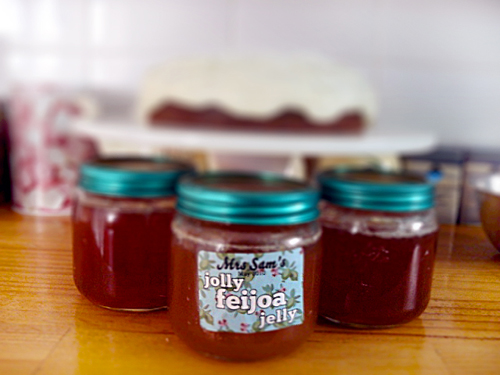 Jelly de la feijoa pentru iarnă, o rețetă cu o fotografie