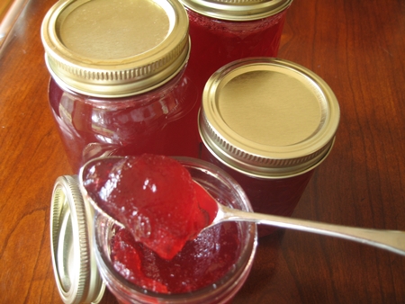 Jelly din zmeură pentru iarnă