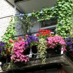 Cum de a decora un balcon Cum de a decora un balcon