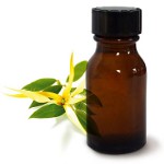 Ulei de bază Ylang Ylang Ulei de bază Ylang Ylang