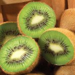 Kiwi dieta pentru pierderea în greutate Kiwi dieta pentru pierderea în greutate
