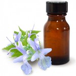 Uleiul de patchouli și proprietățile sale benefice Uleiul de patchouli și proprietățile sale benefice