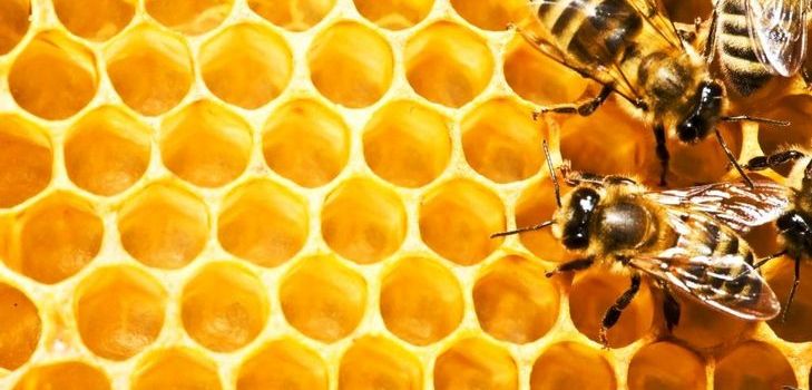 Tinctura de propolis - un agent vindecător