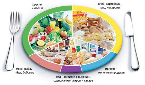 Nutriția corectă pentru scăderea în greutate - ceea ce ei spun recenzii