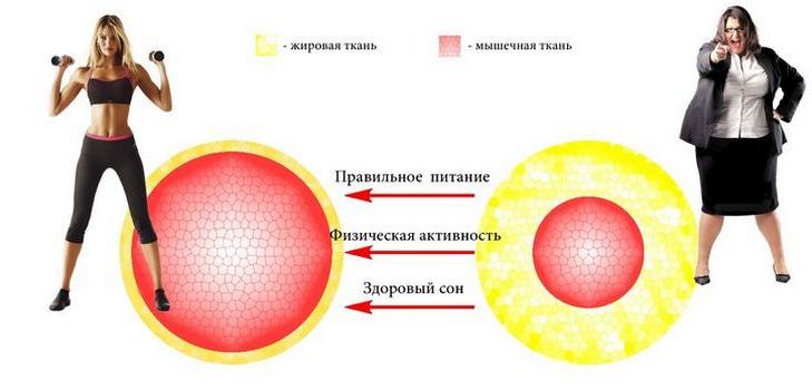 Cum sa recunoastem si ce sa facem in cazul tulburarilor metabolice