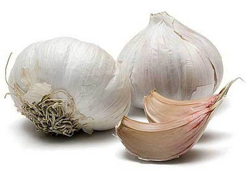 Vasodilator fonduri