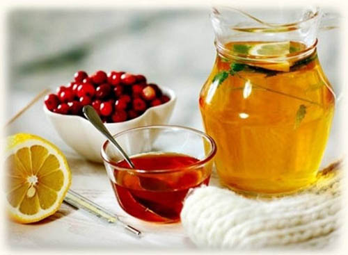 Bearberry: proprietăți medicinale, aplicare, fotografie