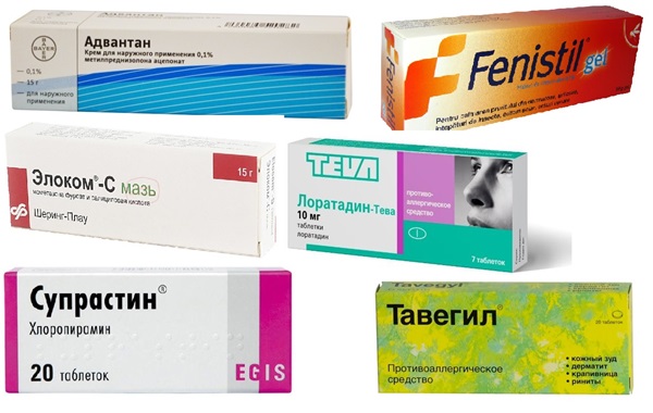Mâncări de insecte