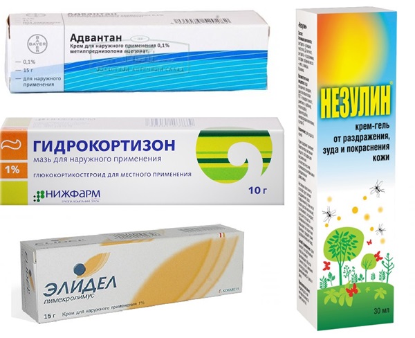 Mâncări de insecte